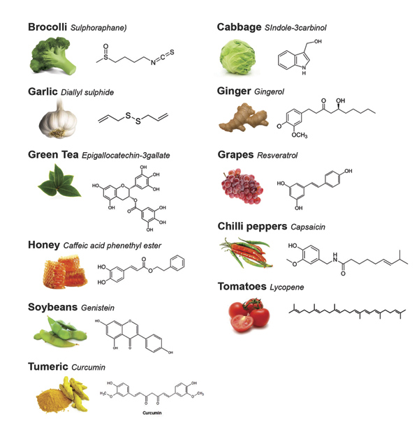 Phytochemicals; Hormetic effect