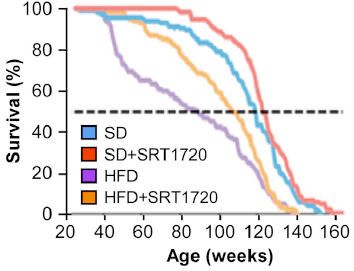 Age vs Survival chart