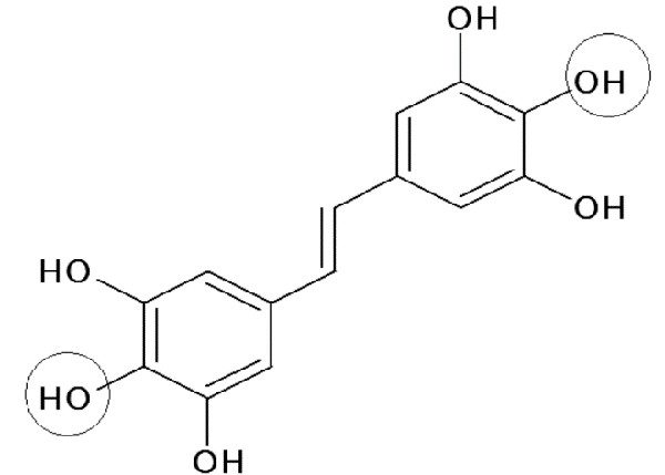 molecule