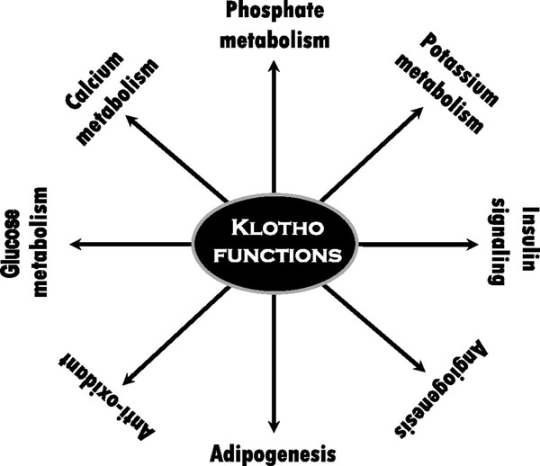 klotho-functions
