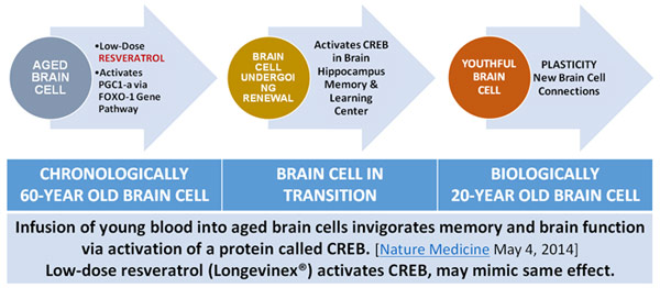 reverse-aging-chart