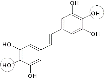 molecule