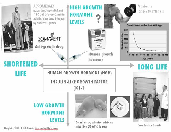 Human growth Hormone, Insulin-Like Growth Factor