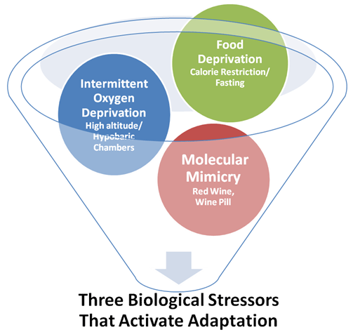 3 biological stressors