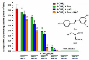 DNA adducts chart