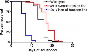 mRNA graph