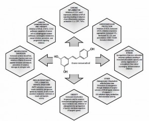 Resveratrol: chart